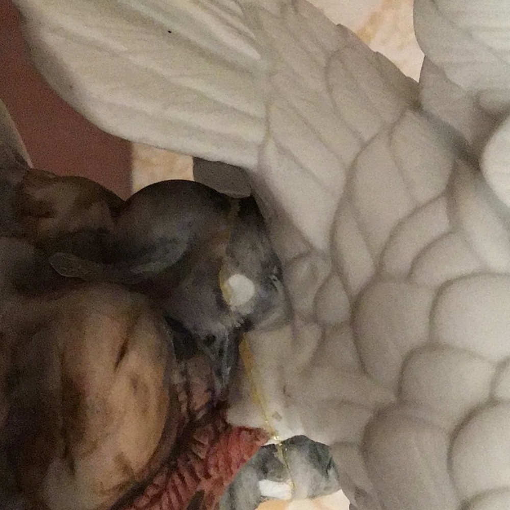 White porcelain Japanese made doves - Picture 6 of 8